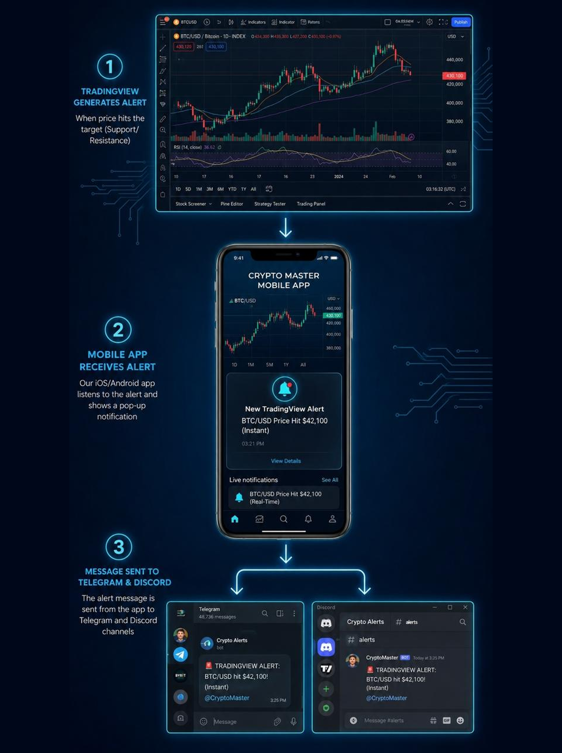 SoffHub platform overview dashboard